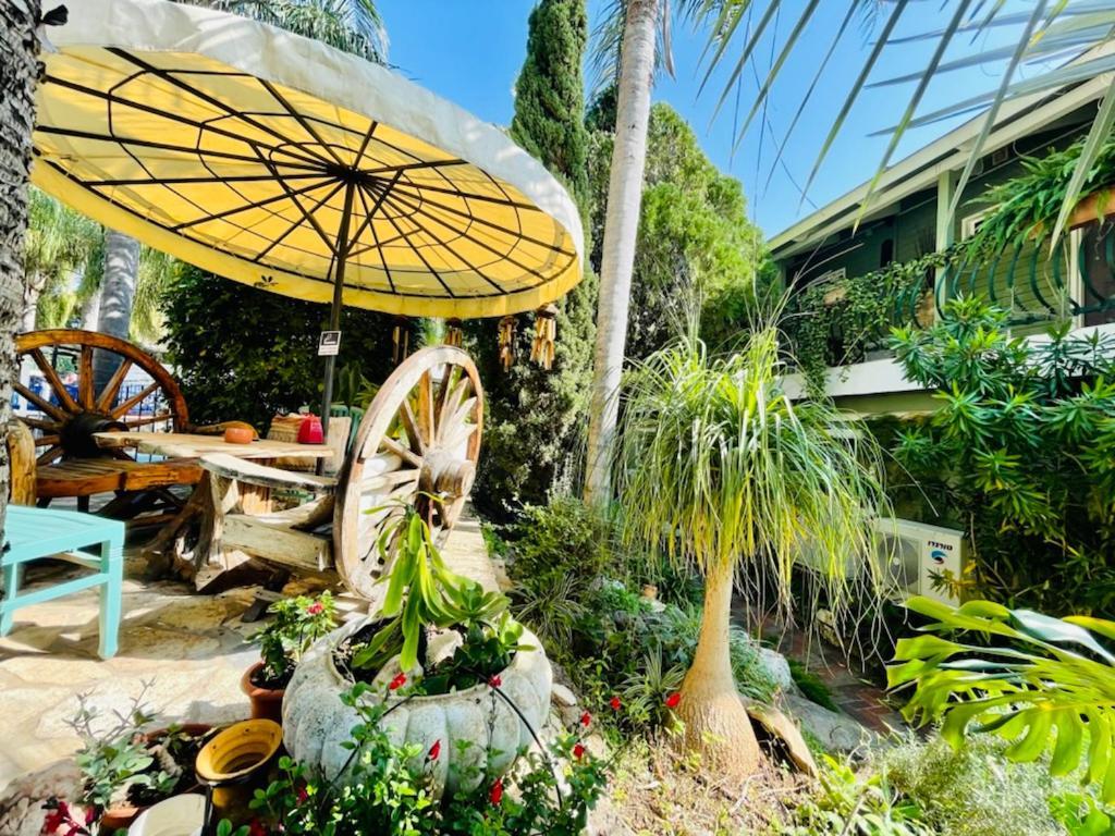 Lodge Out Of Africa *